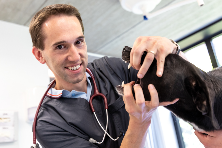 Dierenartsen De Nekker Kenny Vanden Broeck met hond