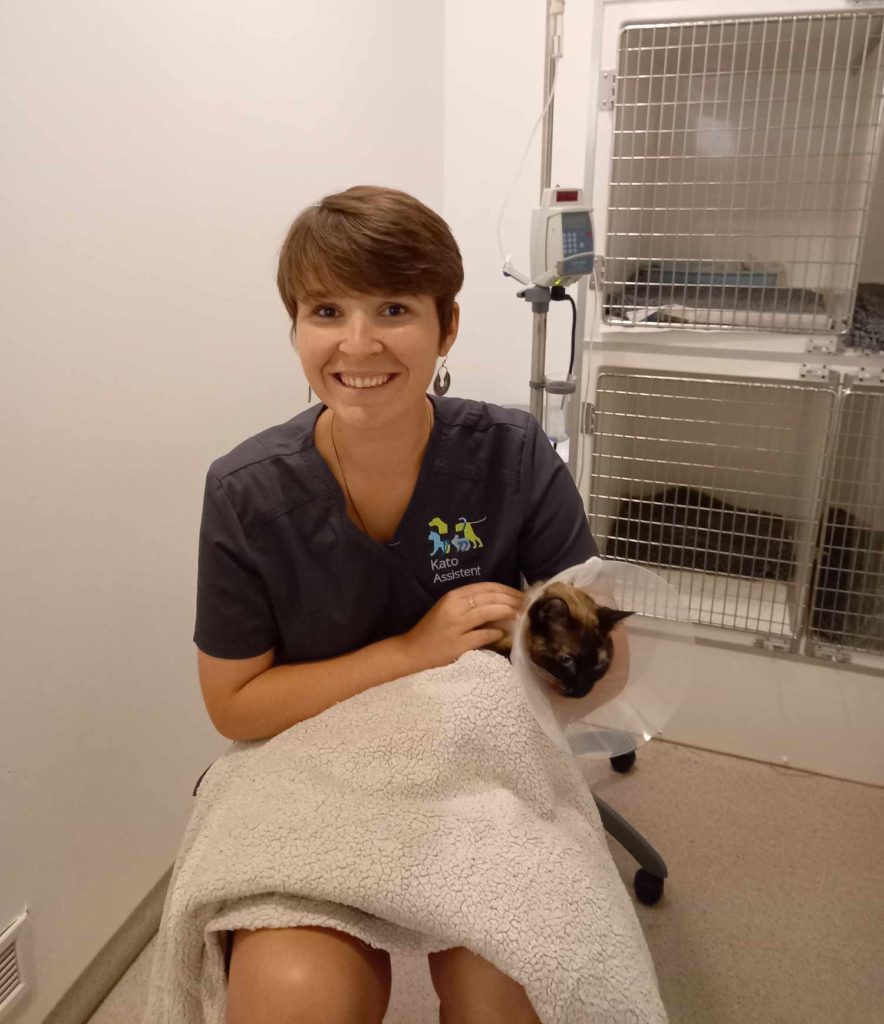 Dierenartsen De Nekker kat verzorging hospitalisatie