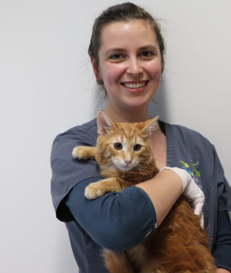 Dierenartsen De Nekker Sofie Van den Brande met kat