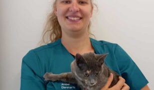 Dierenartsen De Nekker Amber Hoste met kitten
