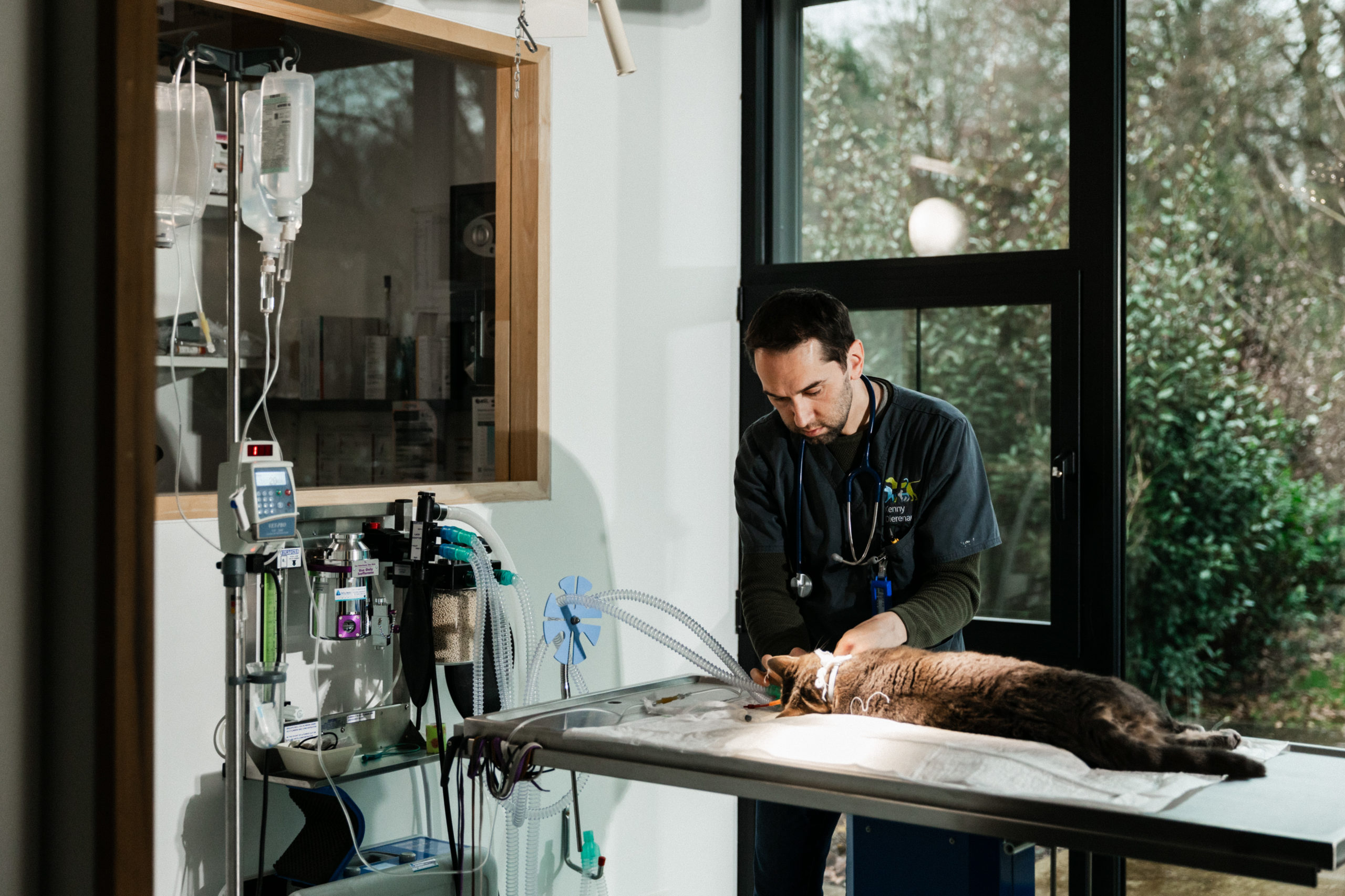 Dierenartsen De Nekker operatie