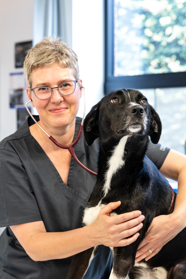 Dierenartsen De Nekker Marjan Fock consultatie