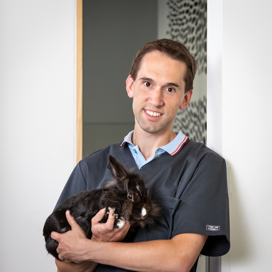 20180628 Dierenartsen De Nekker Bonheiden-foto Luk Collet-8309-2 Dierenartsen De Nekker Kenny Vanden Broeck konijn