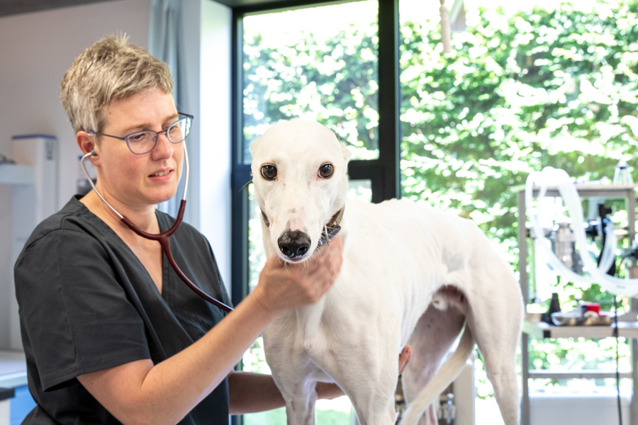 Dierenartsen De Nekker Marjan Fock met hond