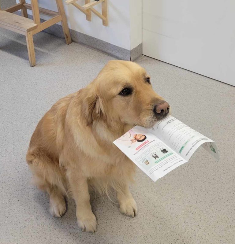 Dierenartsen De Nekker hond met folder Santévet verzekering
